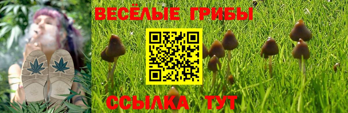 Цена  Меф   ГАШ  Конопля  Ишимбай  Вход с VPN  COCAIN  A PVP СК  