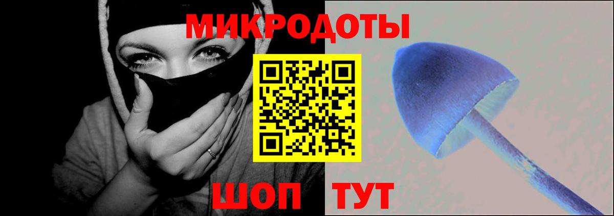 где найти   Псилоцибиновые грибы ЛСД  Вход с VPN  Ишимбай 