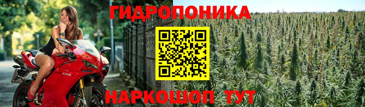Бошки марихуана индика Ишимбай